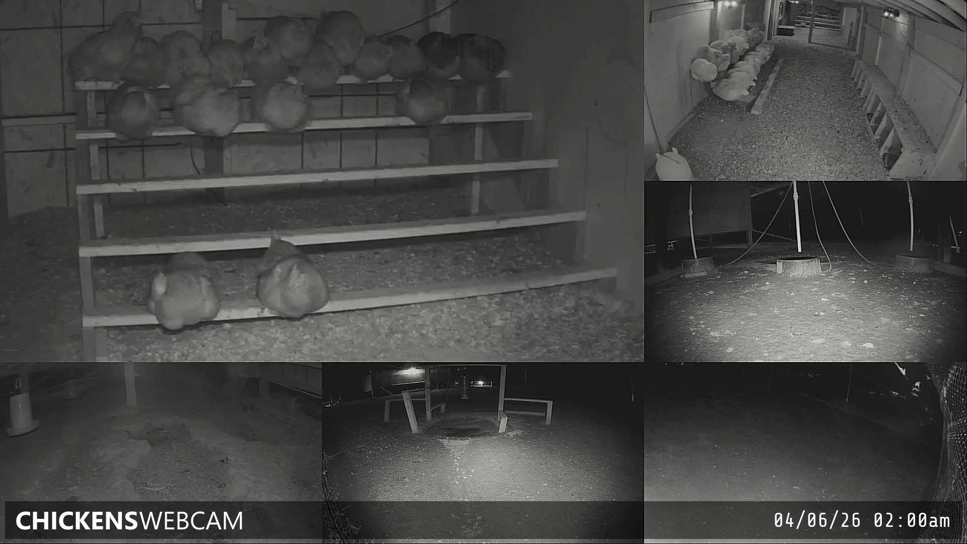 Twitch Stream Preview