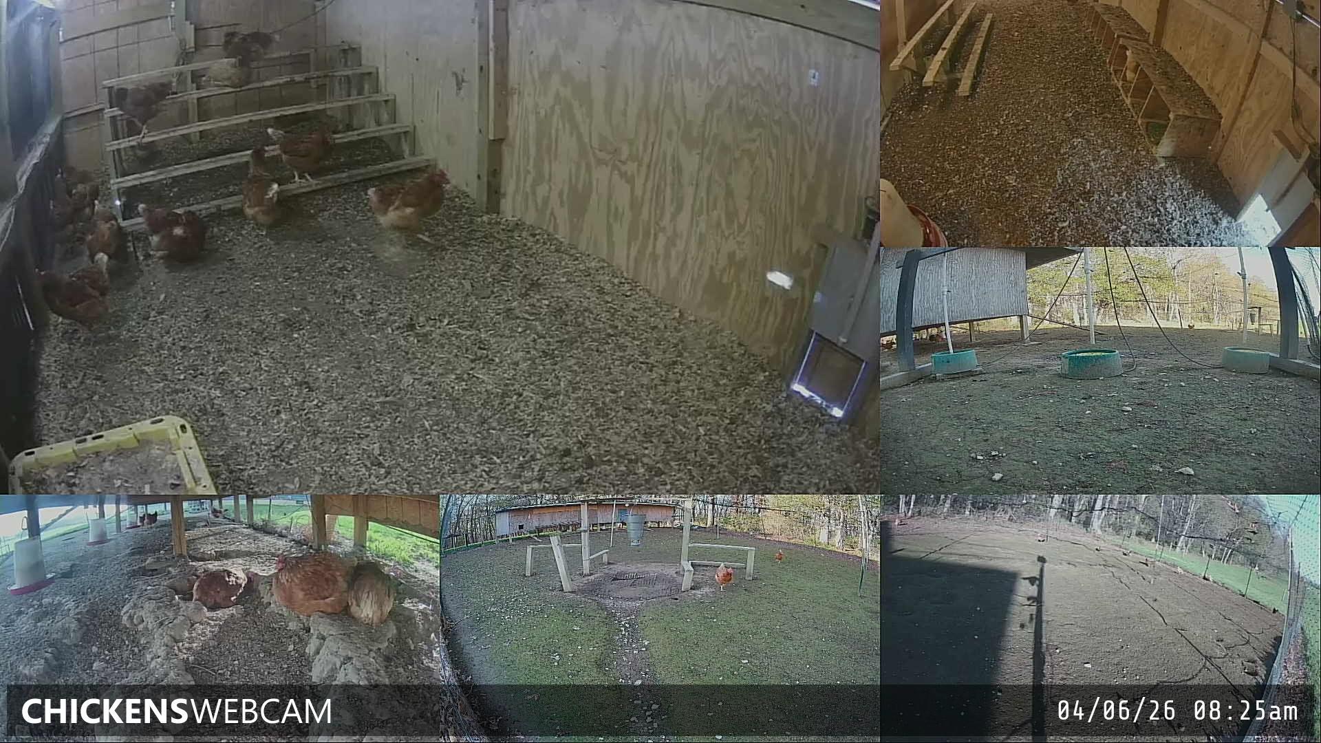 Twitch Stream Preview