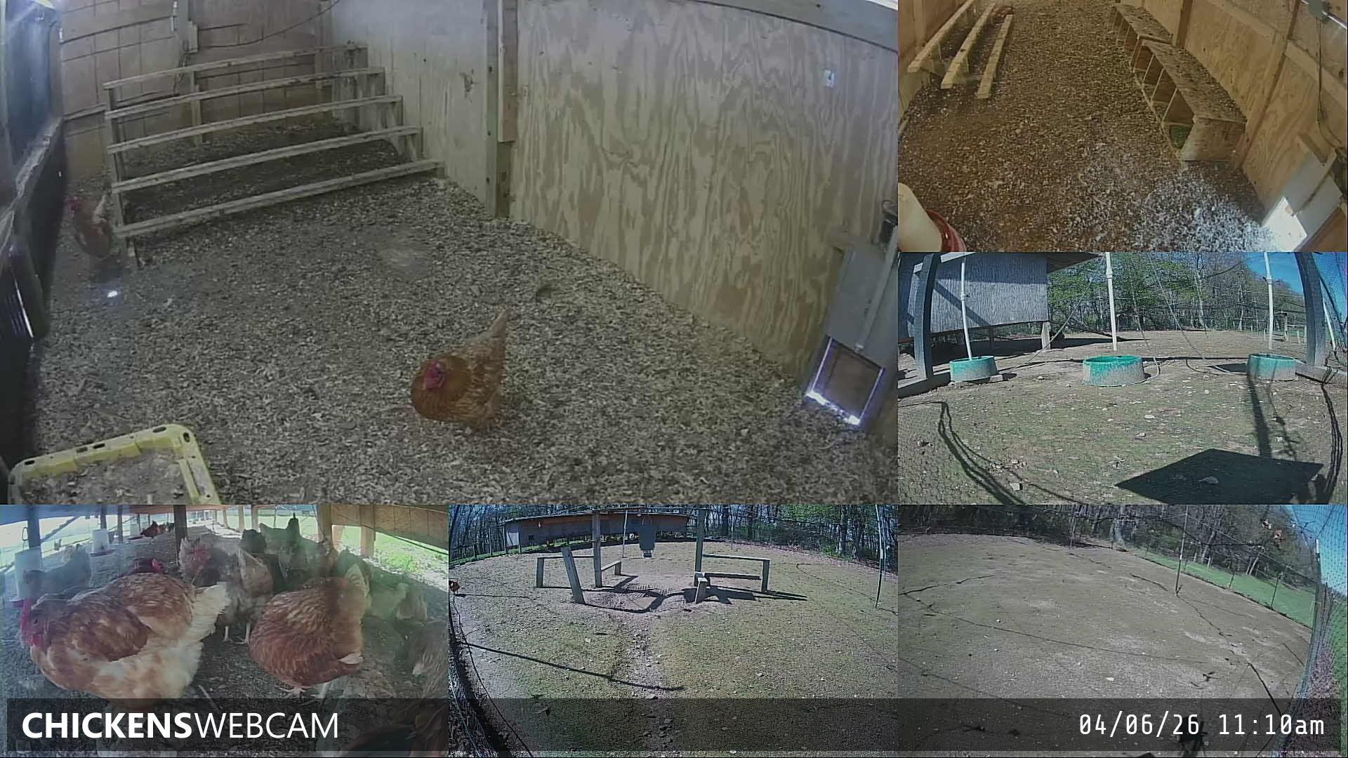 Twitch Stream Preview