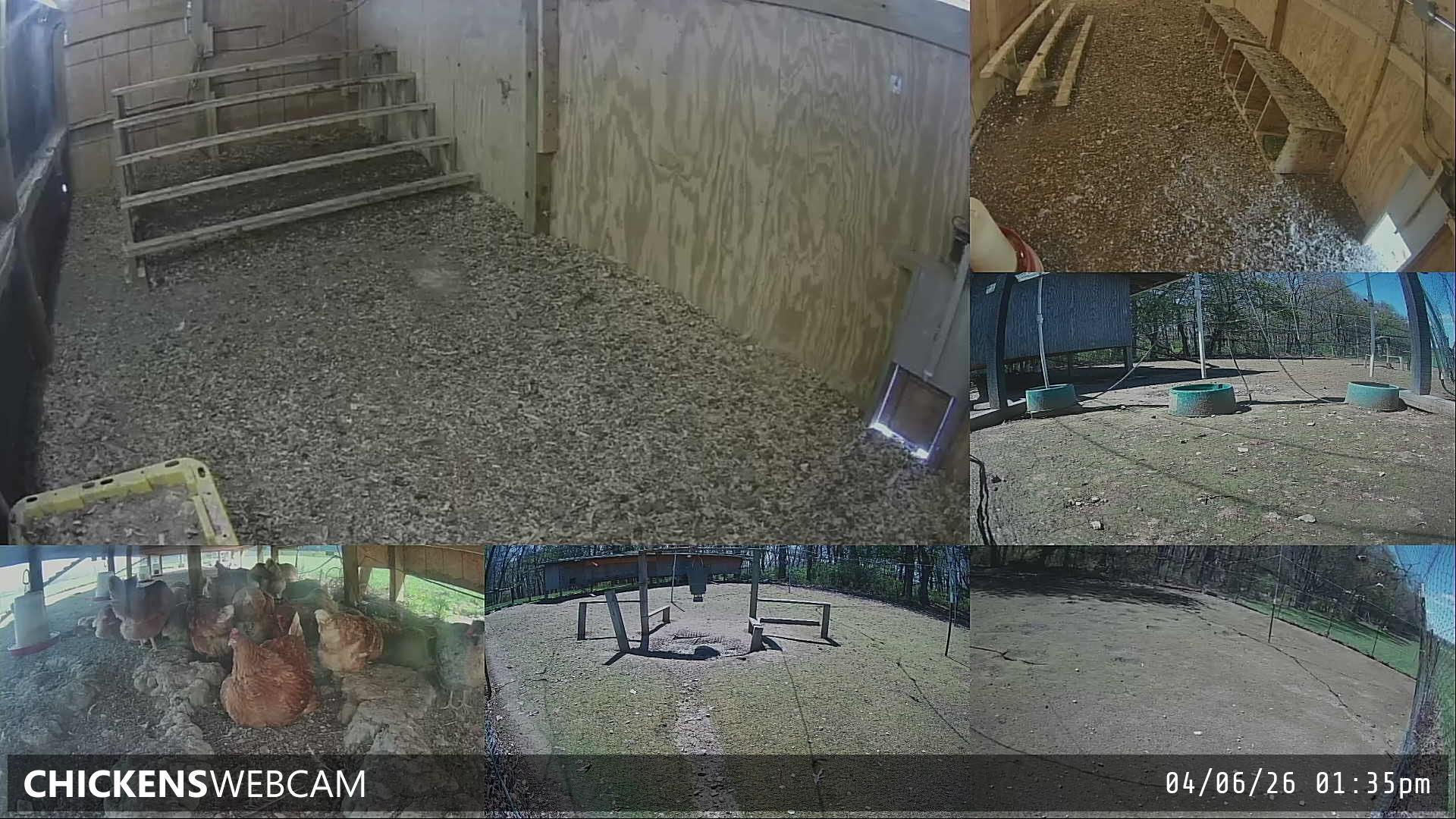 Twitch Stream Preview