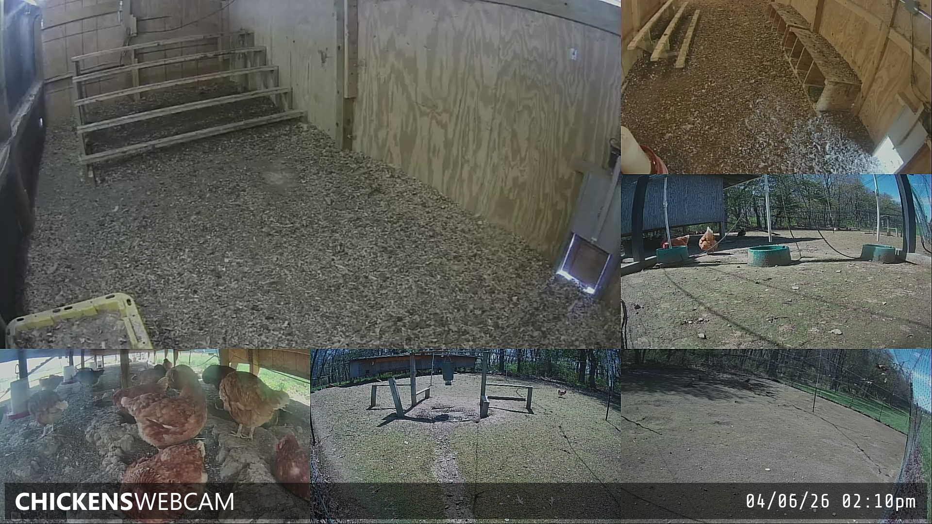 Twitch Stream Preview