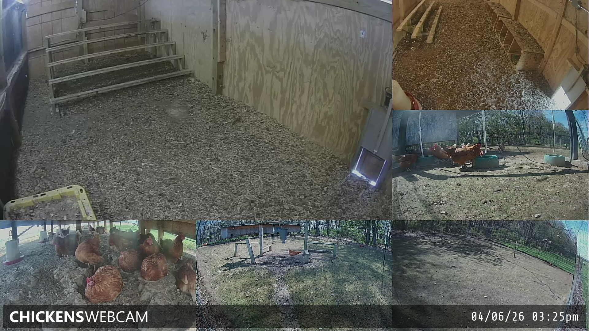 Twitch Stream Preview