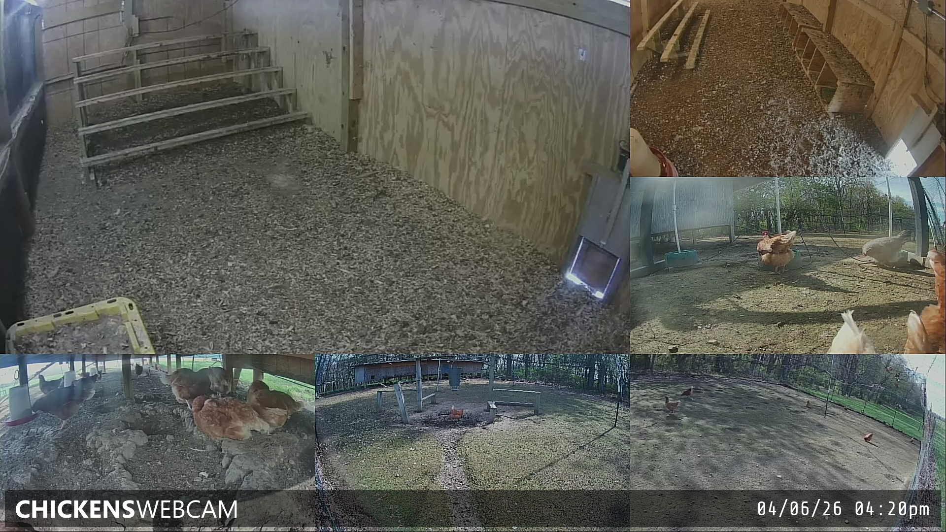 Twitch Stream Preview