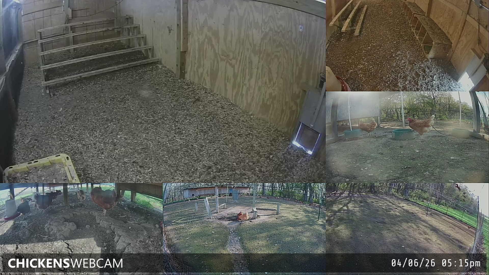 Twitch Stream Preview