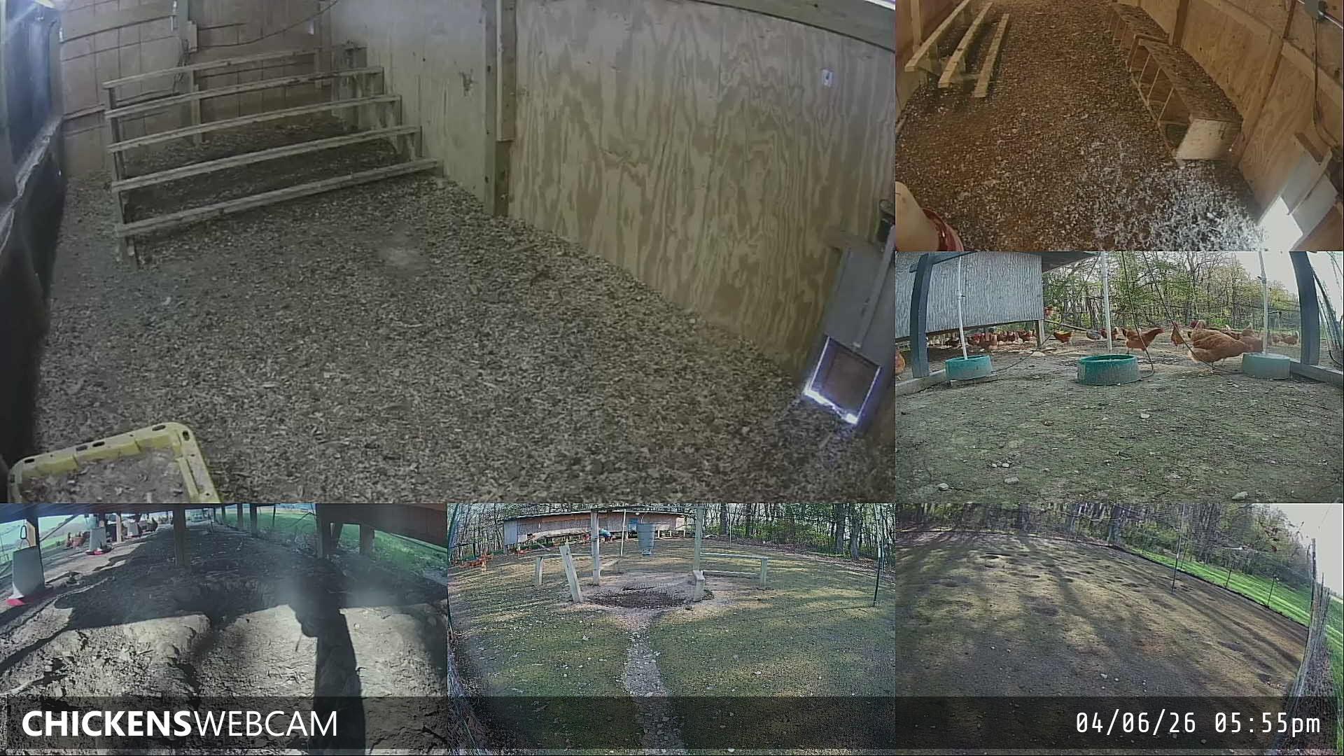 Twitch Stream Preview