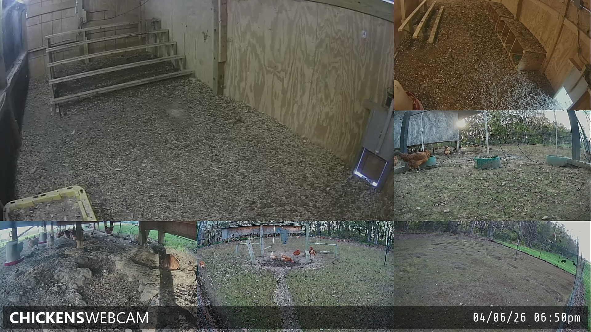 Twitch Stream Preview