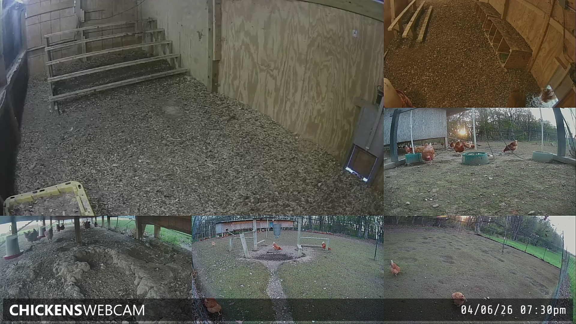 Twitch Stream Preview