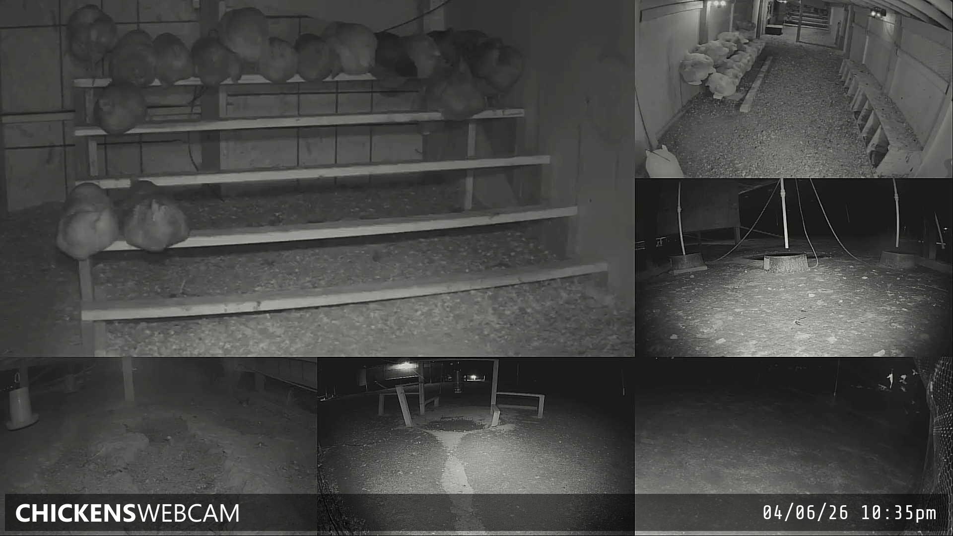 Twitch Stream Preview