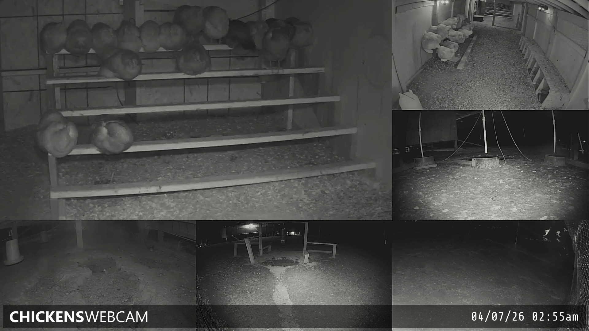 Twitch Stream Preview