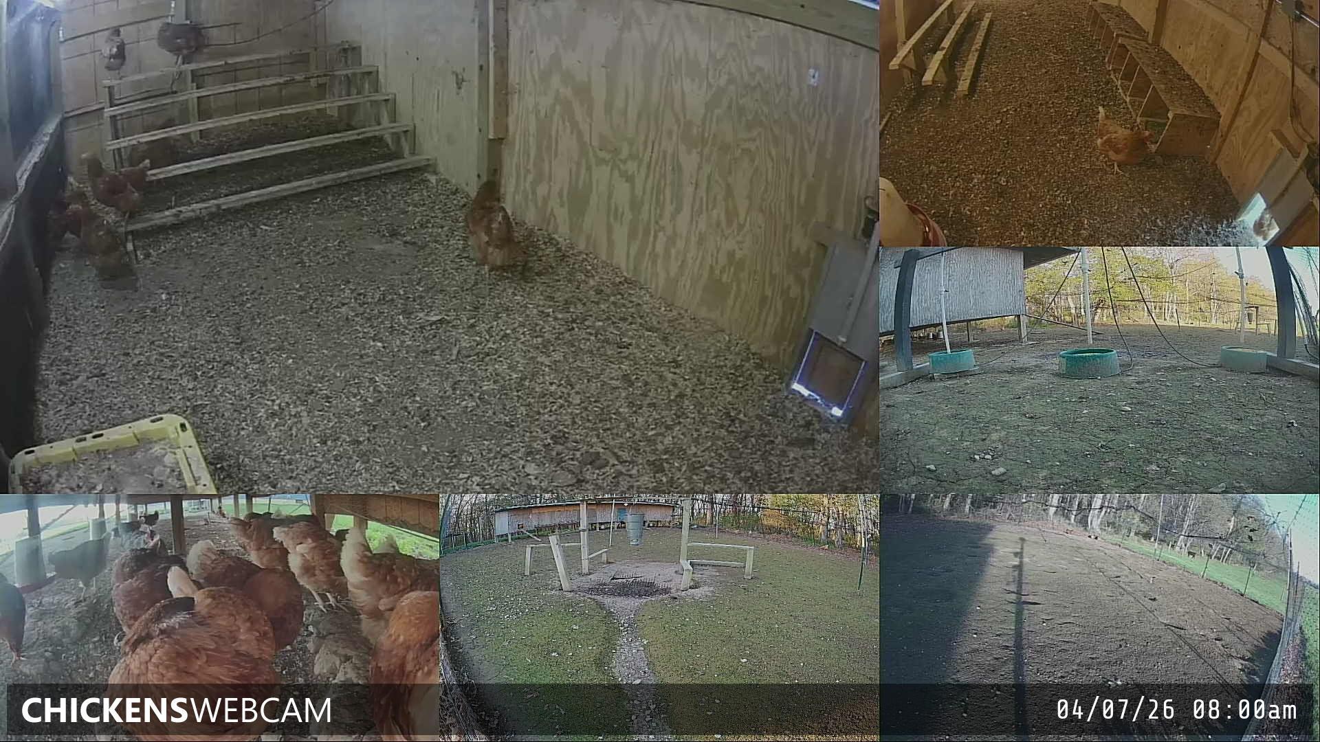 Twitch Stream Preview