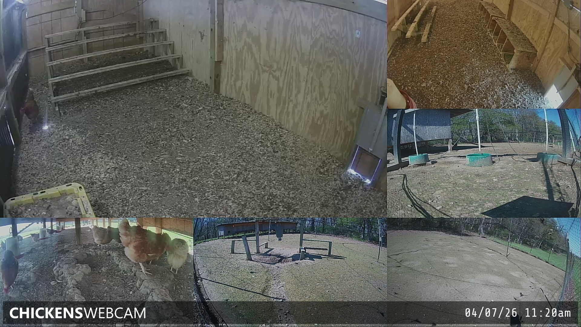 Twitch Stream Preview