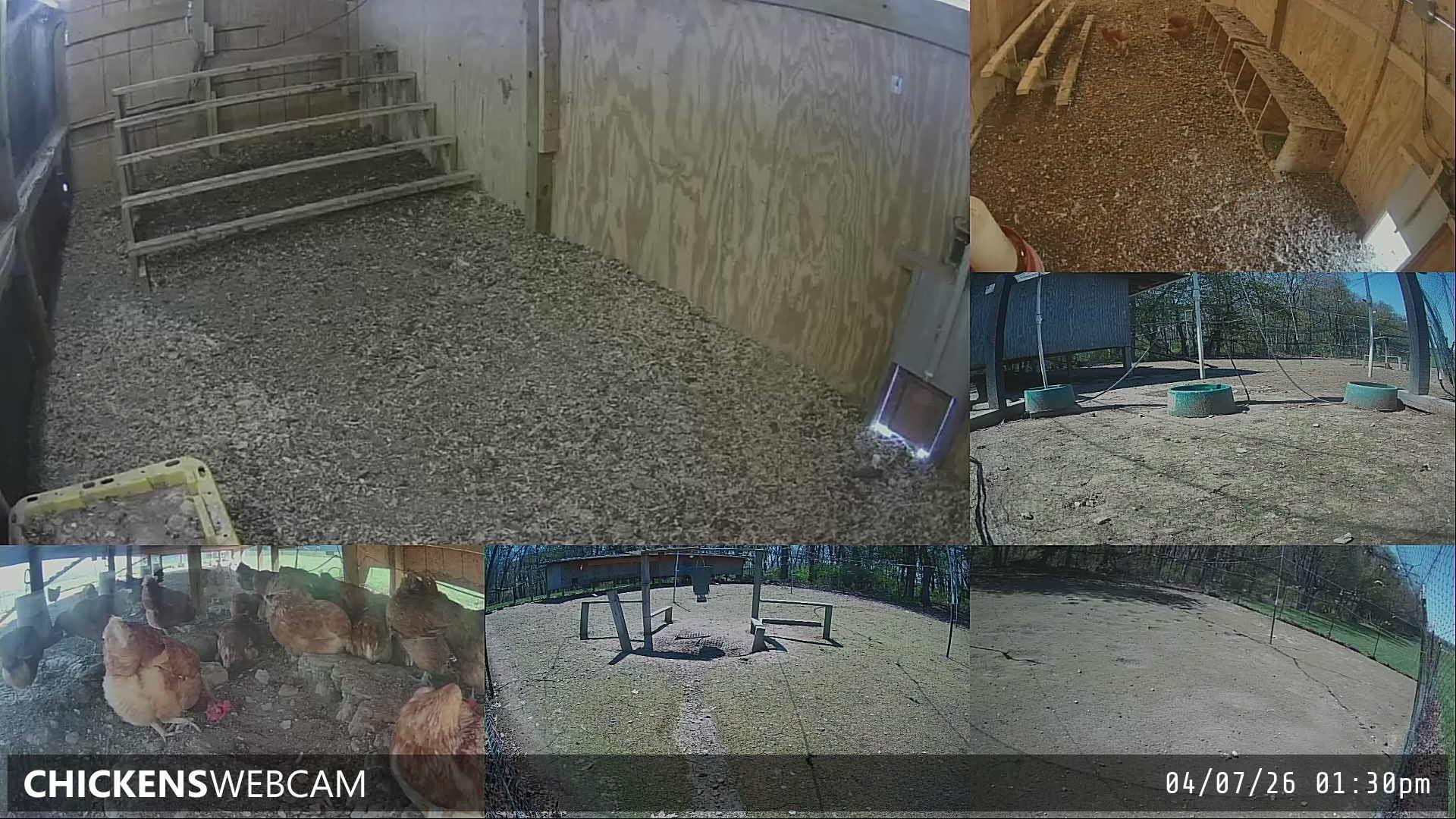 Twitch Stream Preview