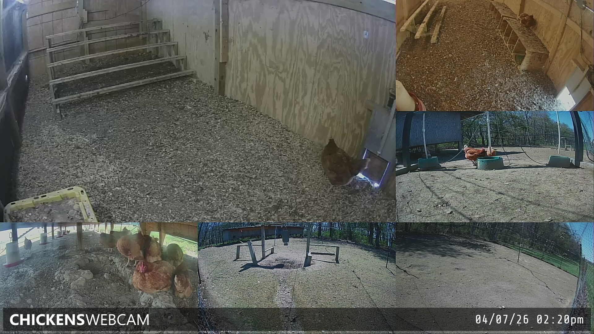 Twitch Stream Preview