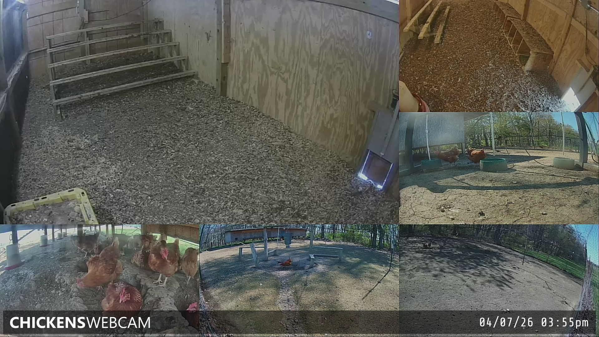 Twitch Stream Preview