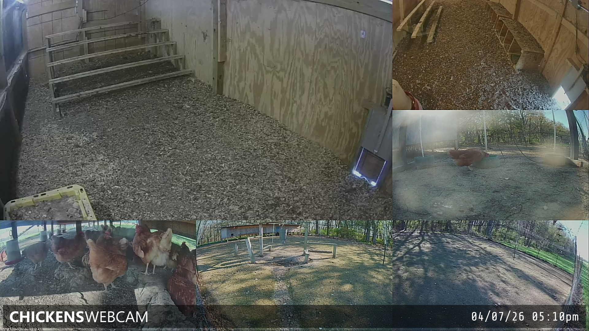 Twitch Stream Preview