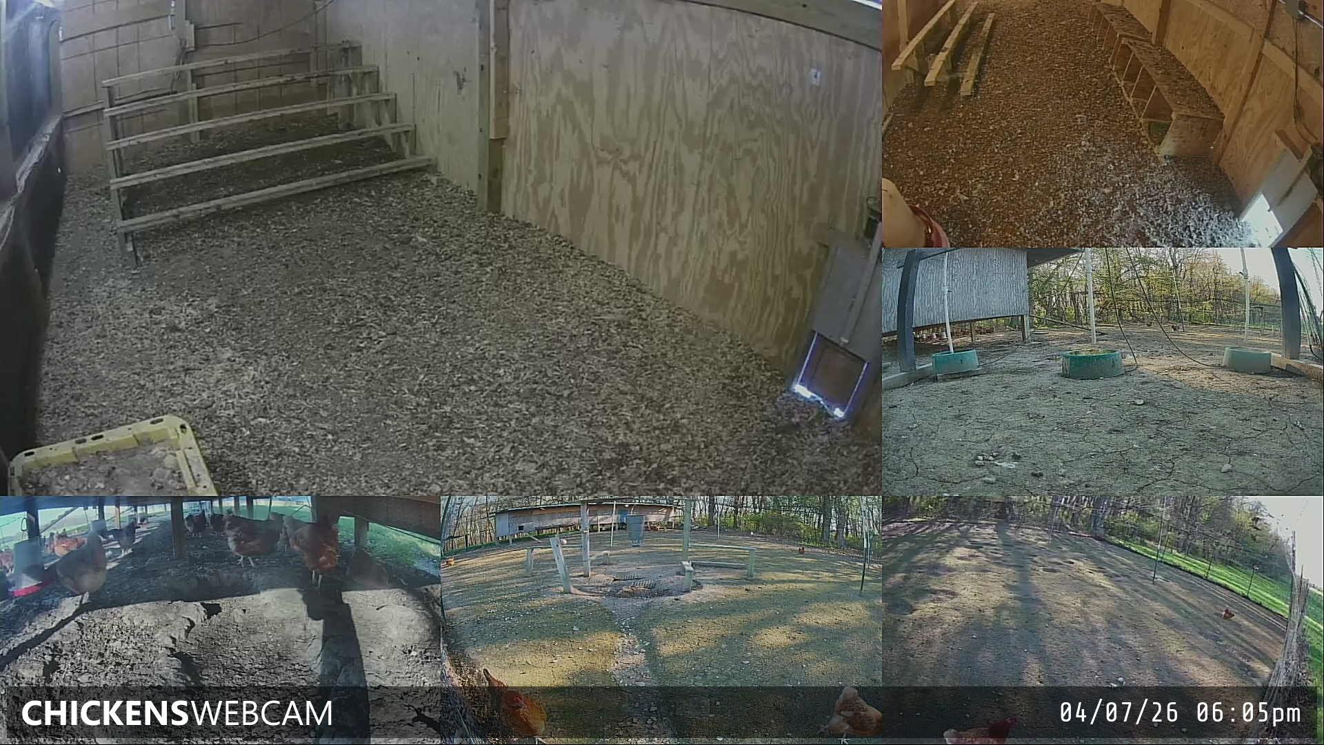 Twitch Stream Preview