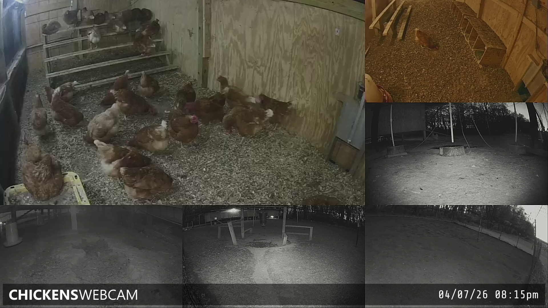 Twitch Stream Preview