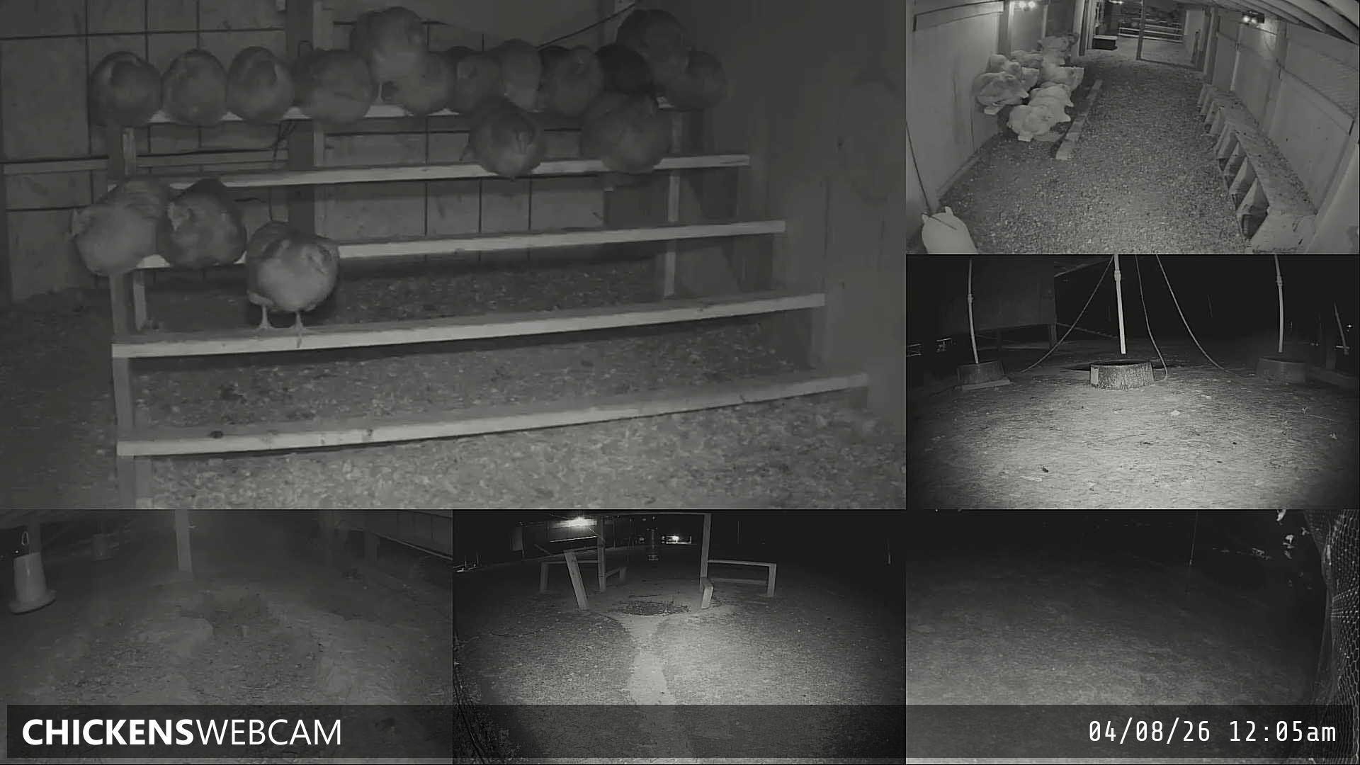 Twitch Stream Preview