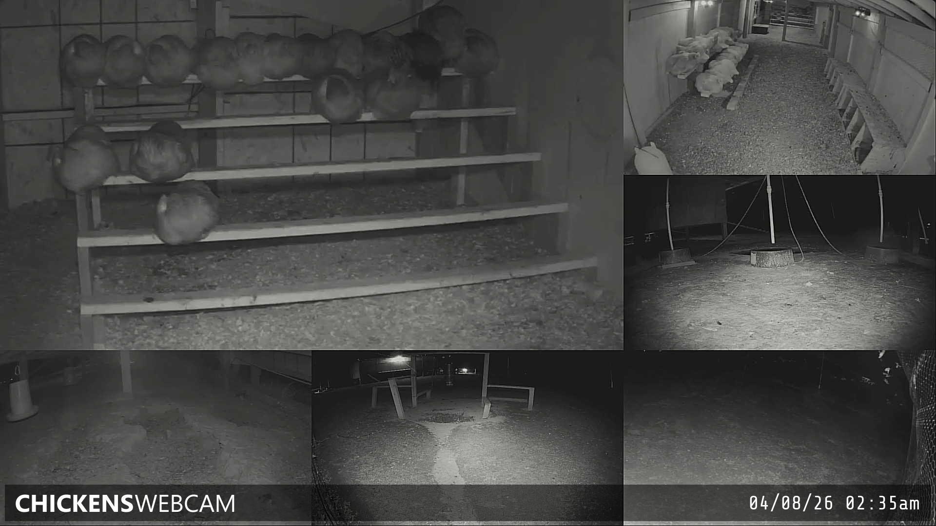 Twitch Stream Preview