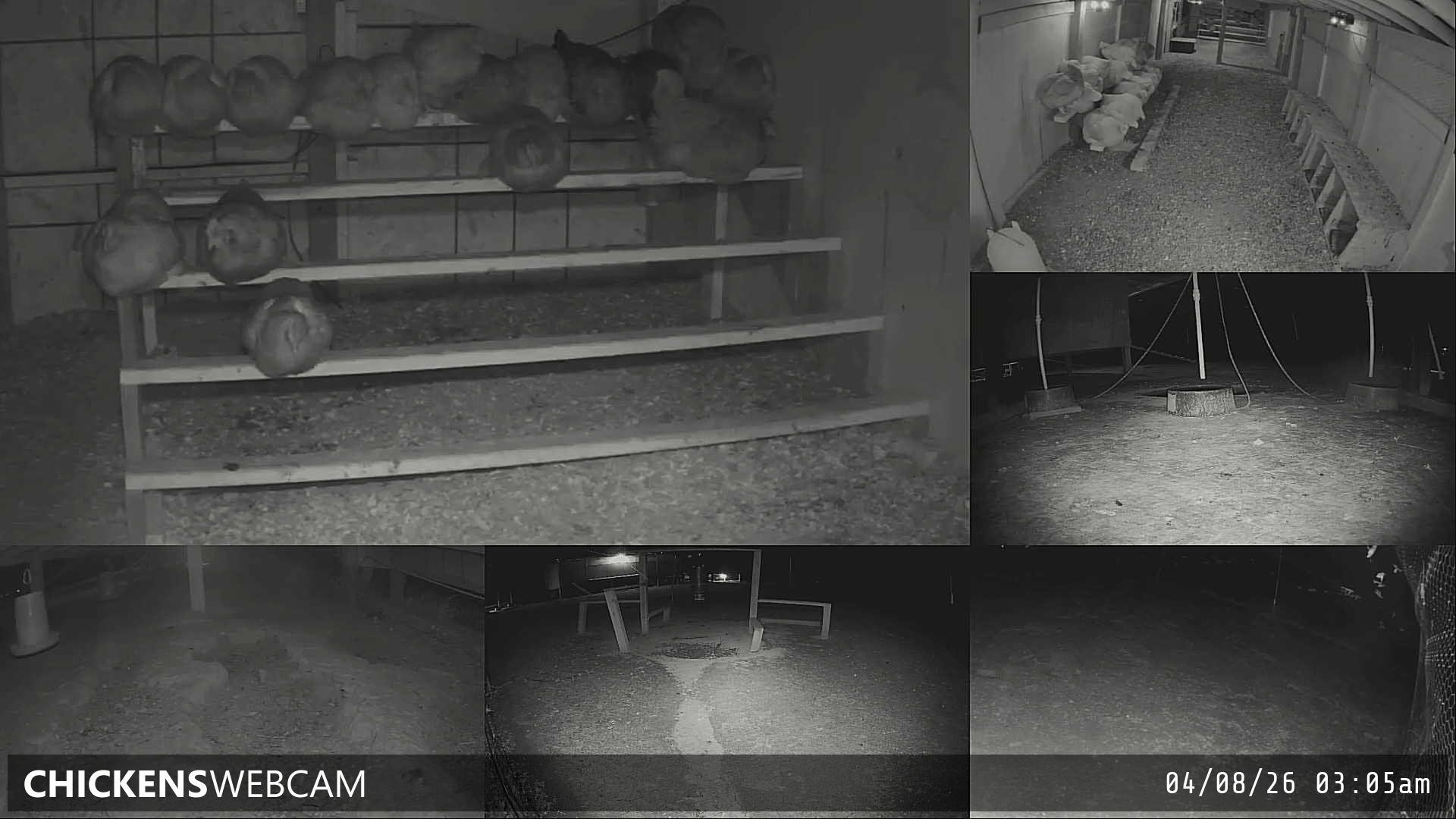 Twitch Stream Preview