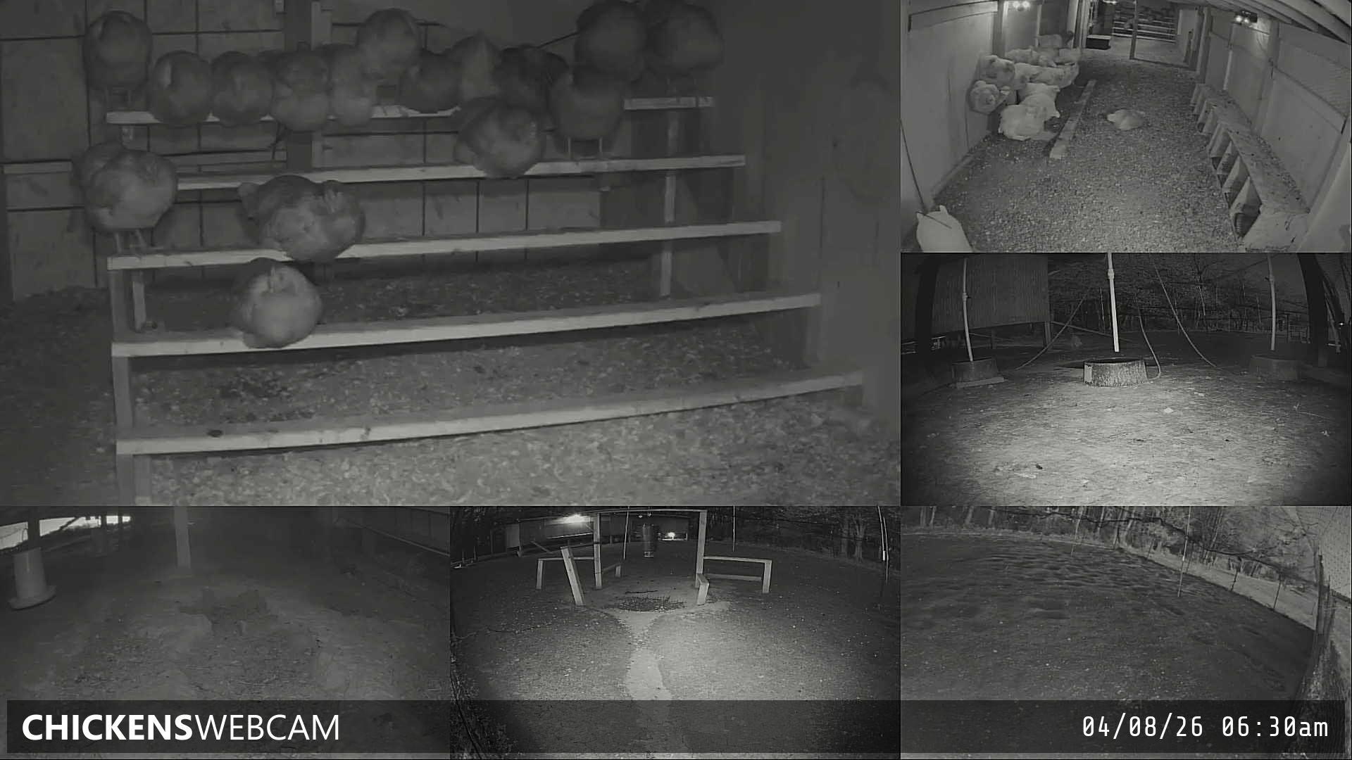 Twitch Stream Preview