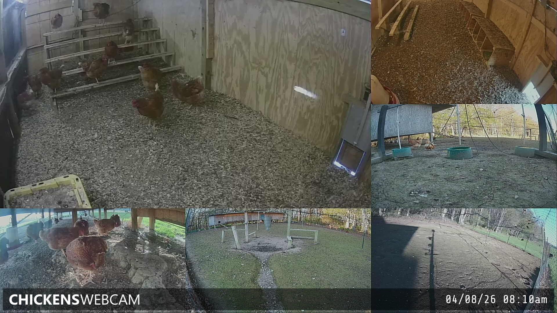 Twitch Stream Preview