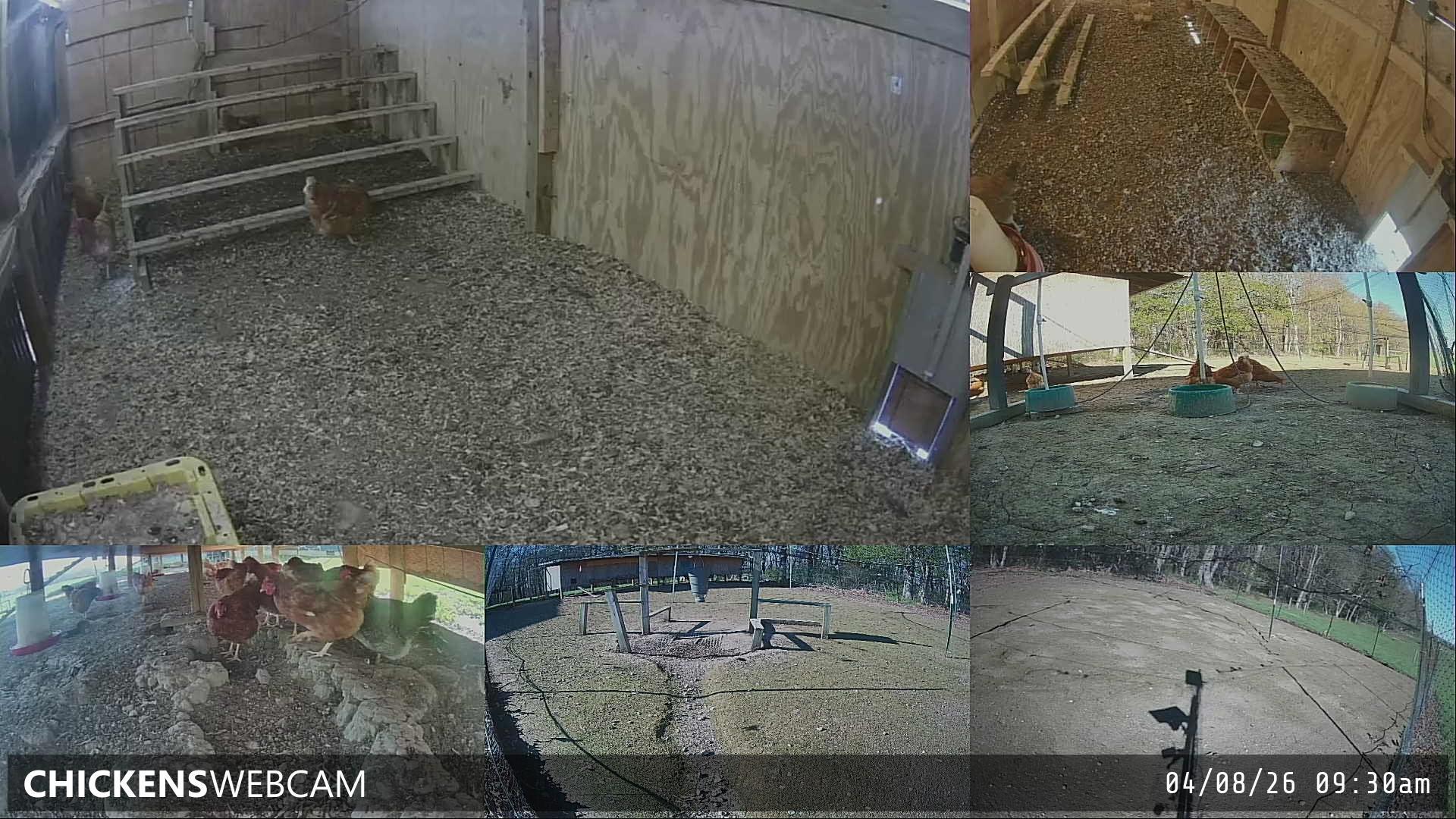 Twitch Stream Preview