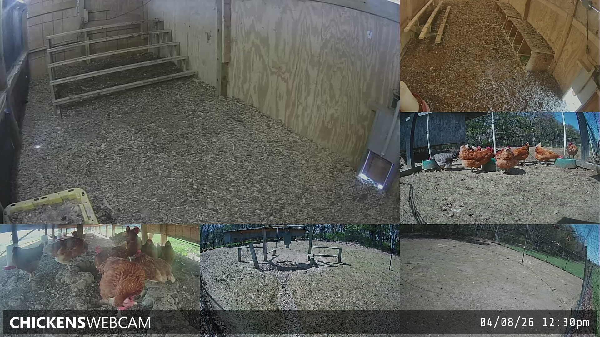 Twitch Stream Preview