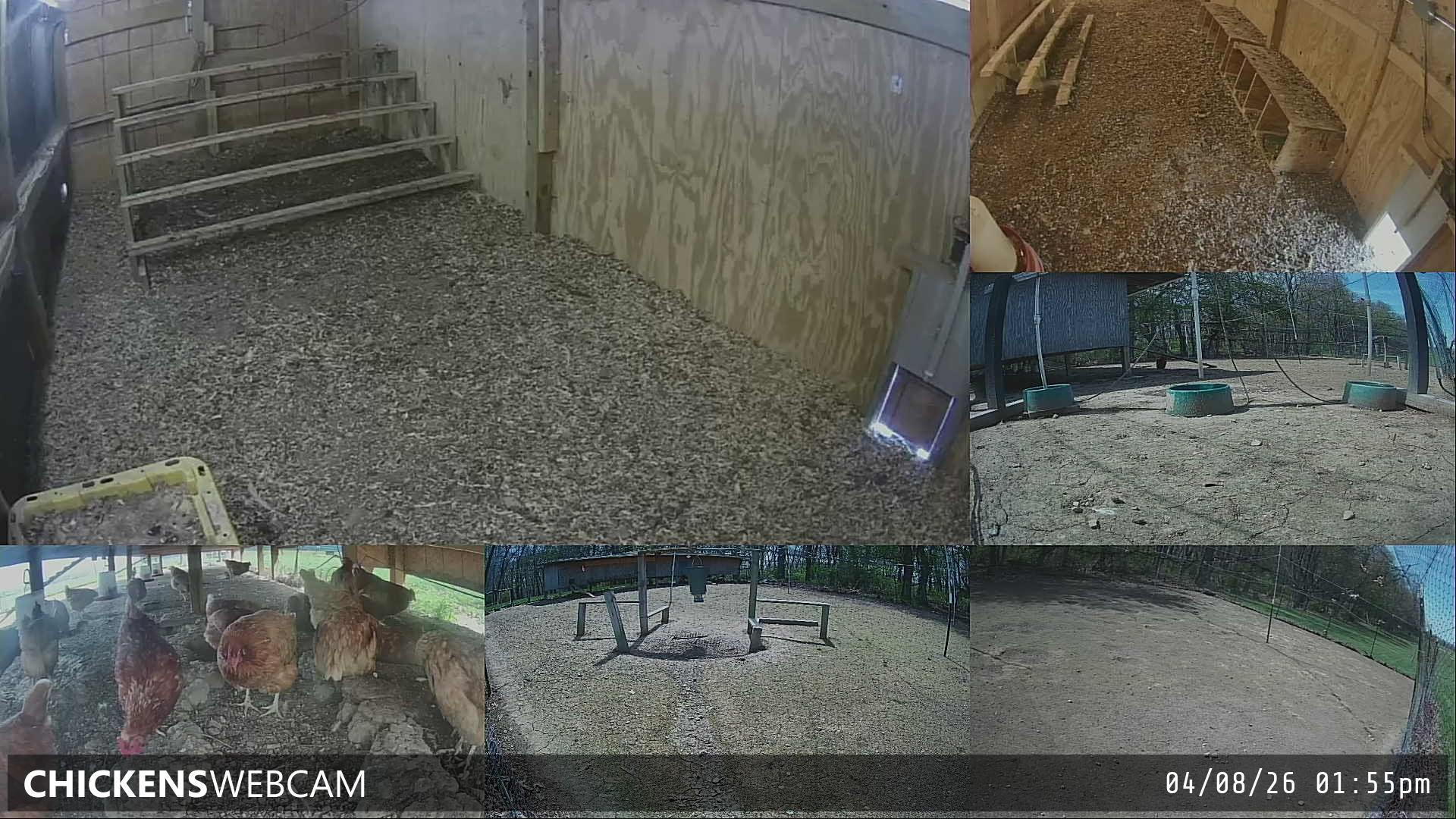 Twitch Stream Preview