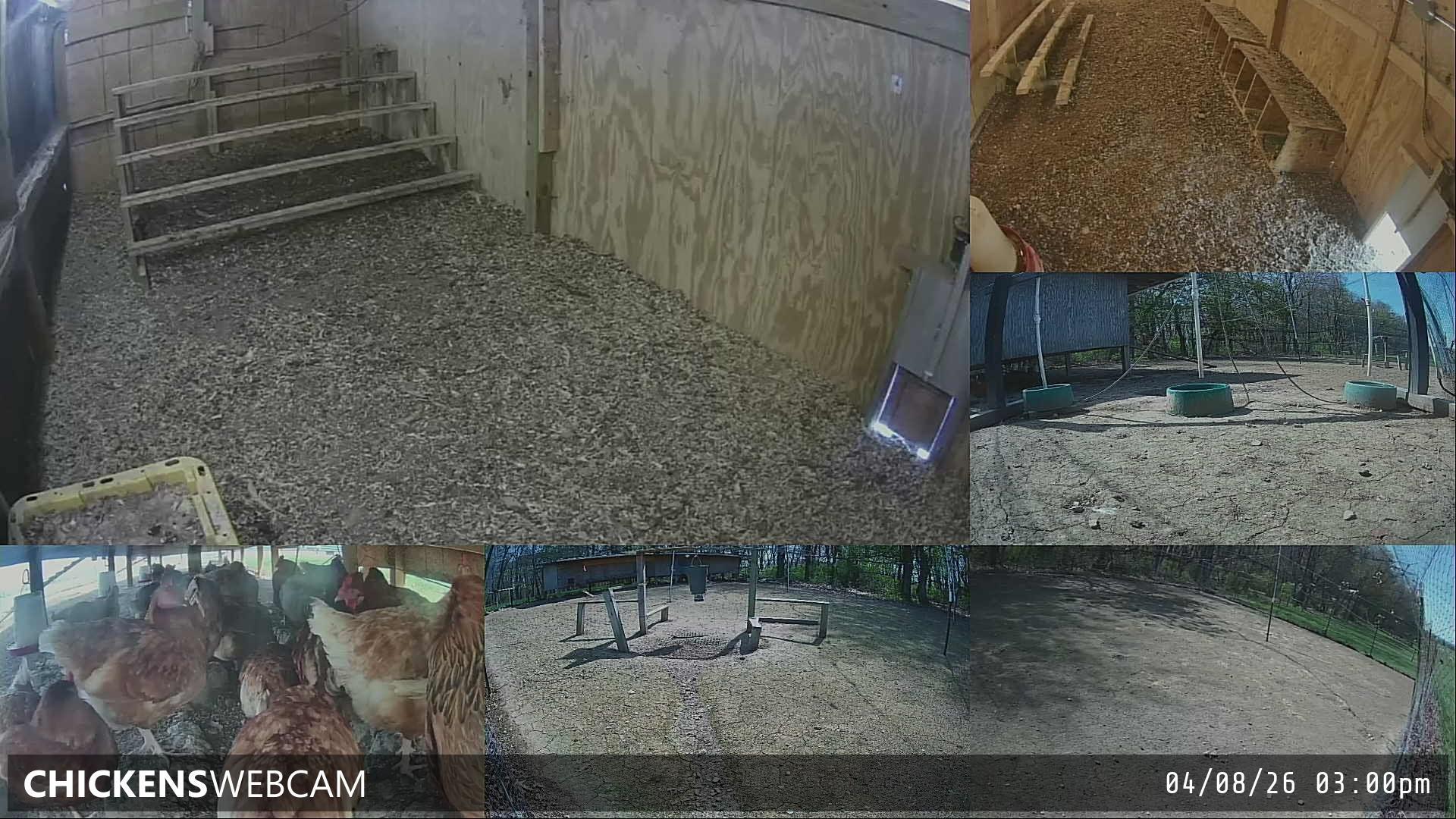 Twitch Stream Preview