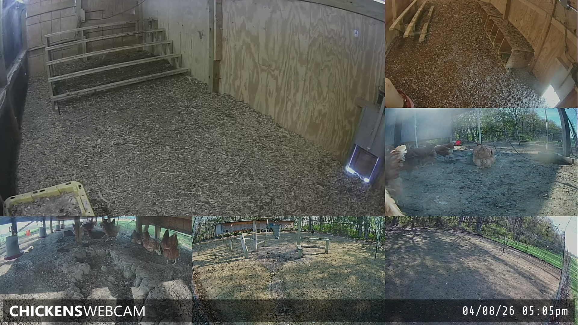 Twitch Stream Preview