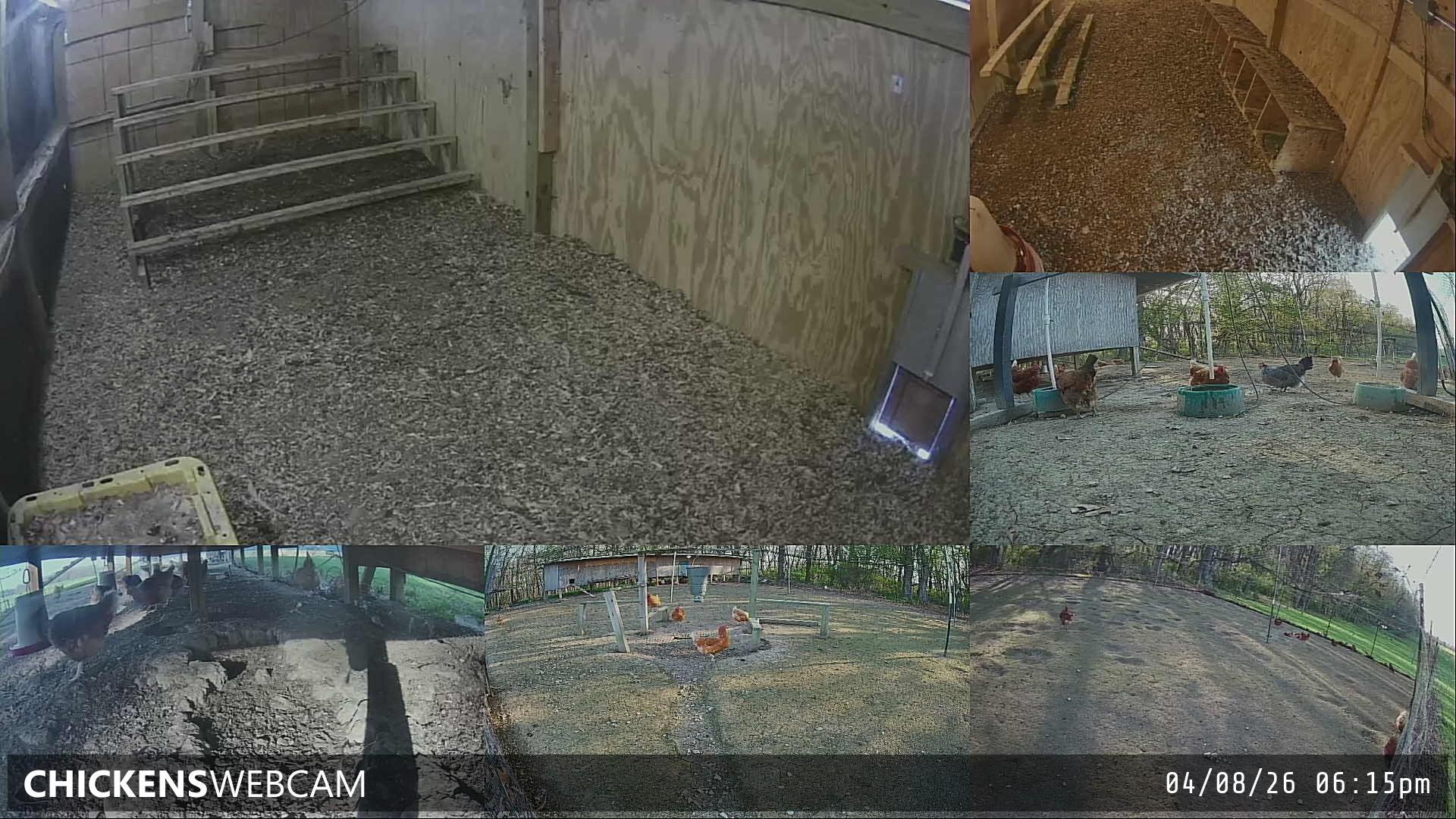 Twitch Stream Preview