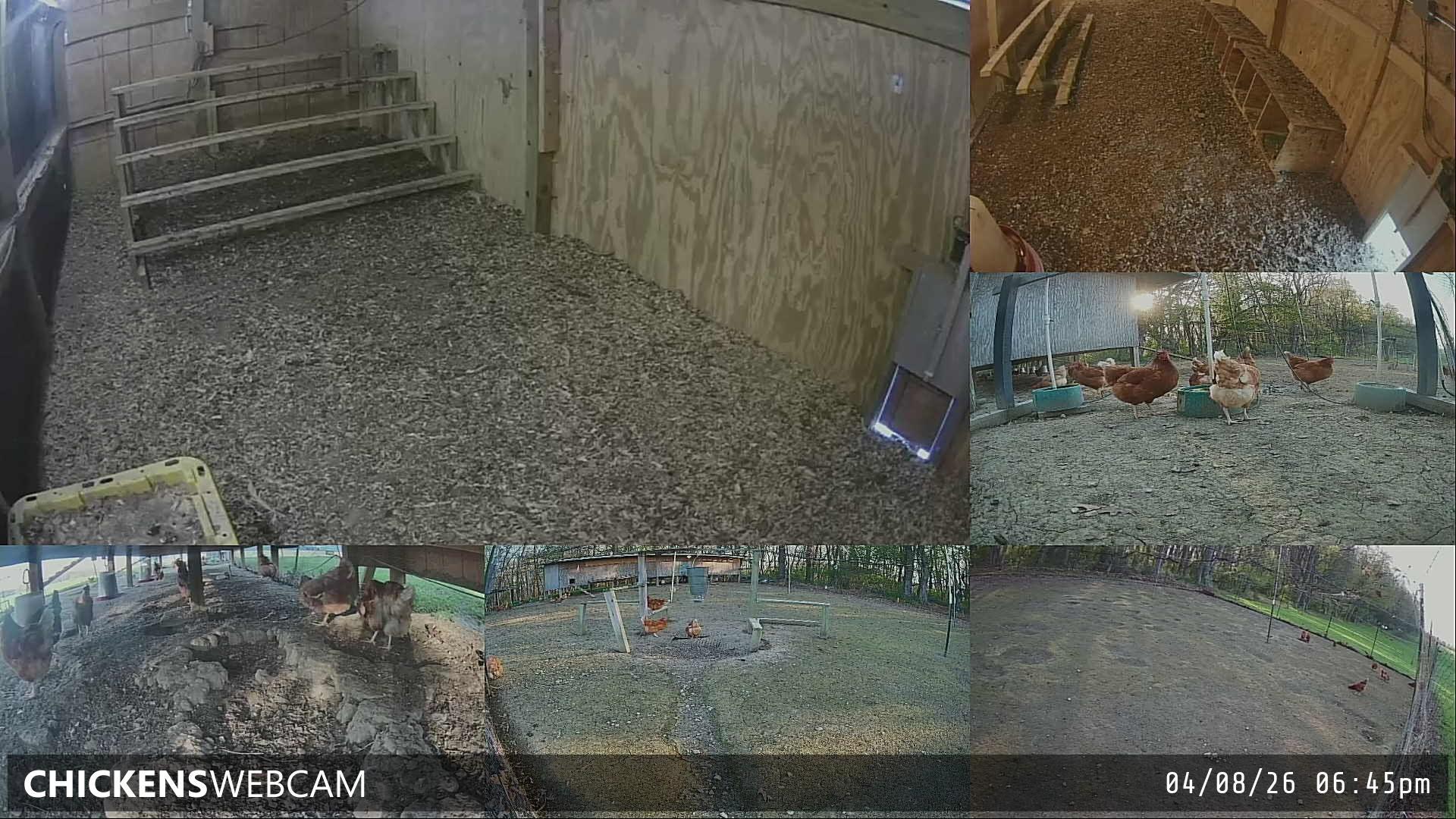 Twitch Stream Preview