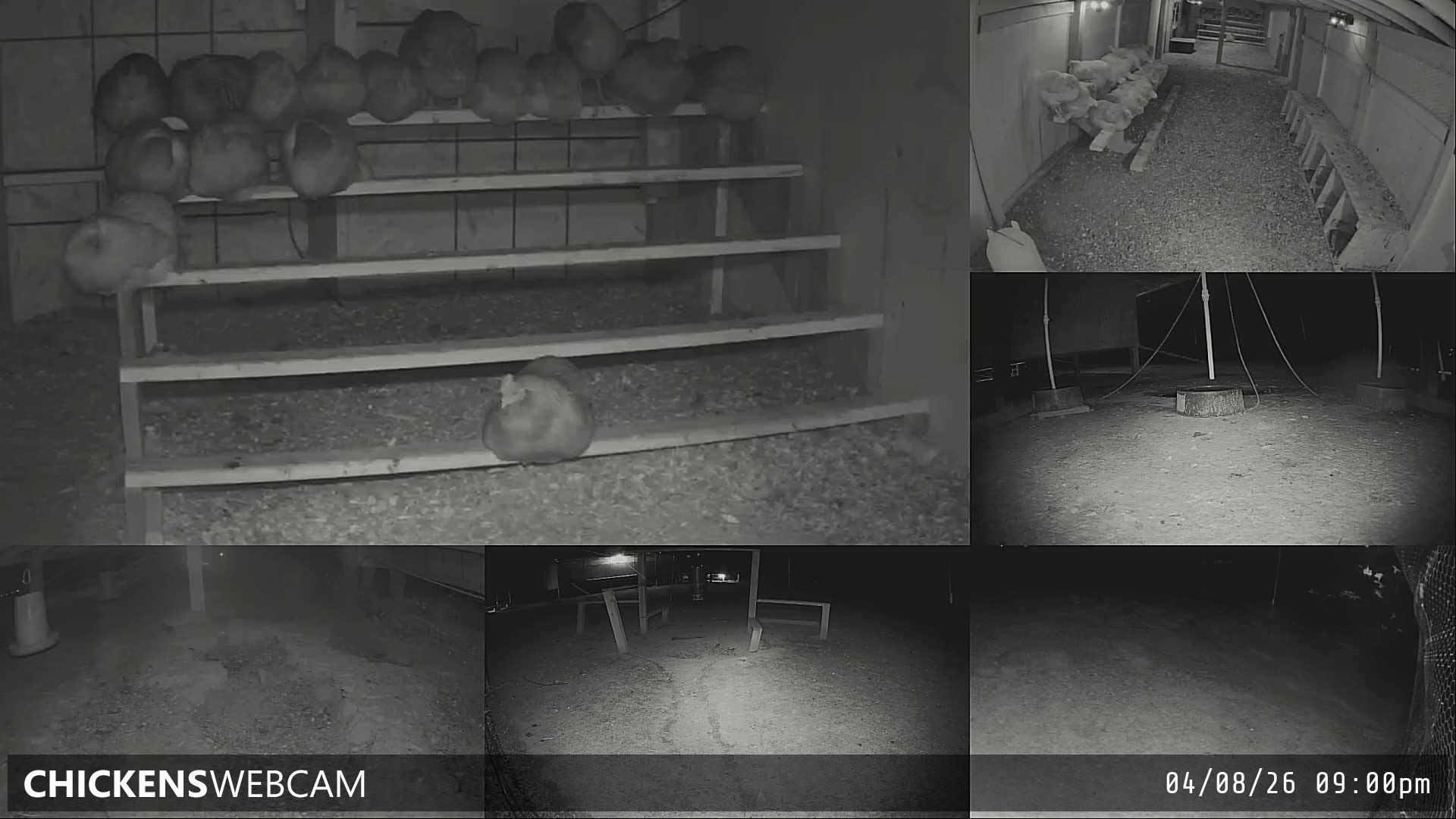 Twitch Stream Preview