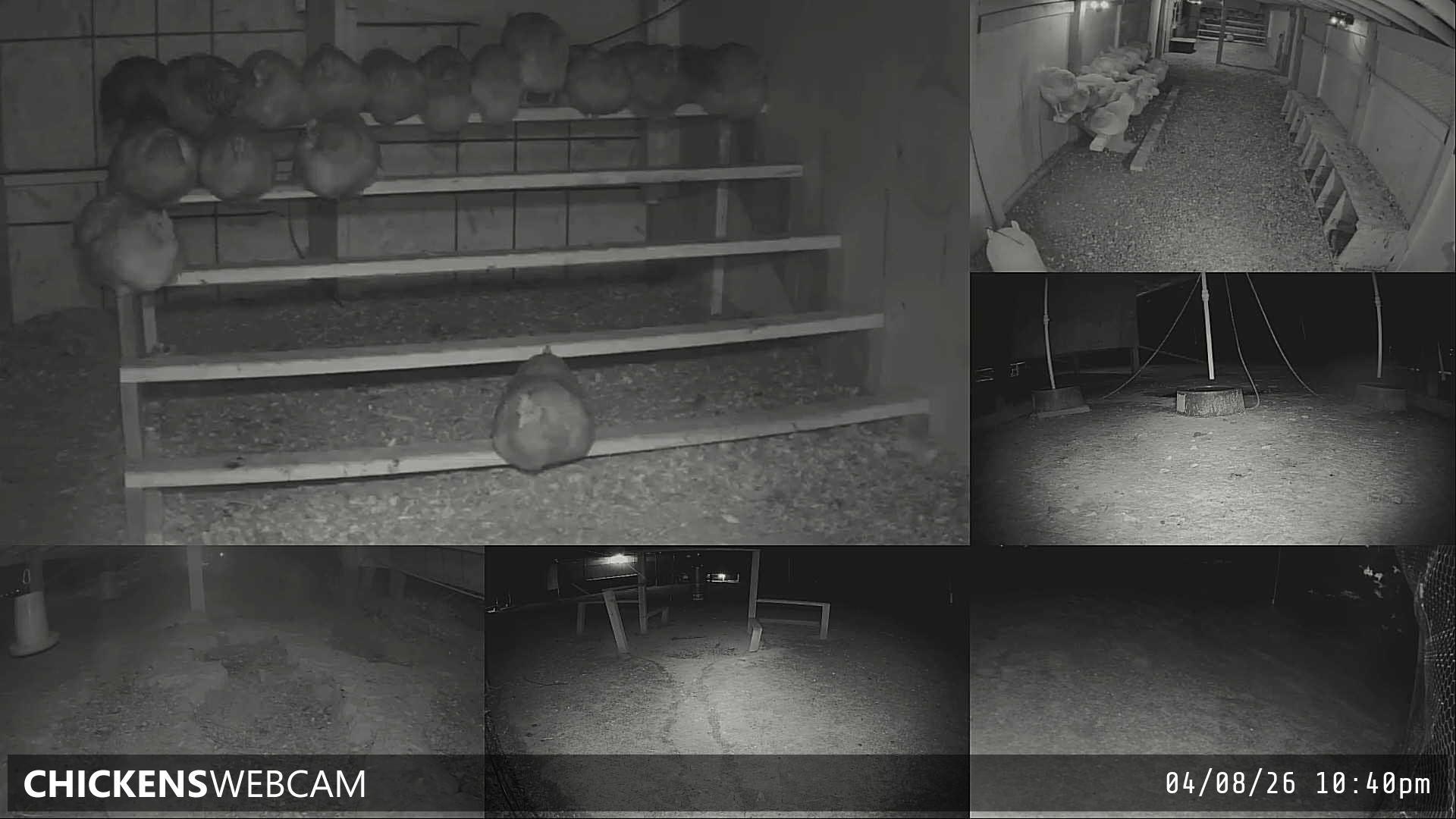 Twitch Stream Preview