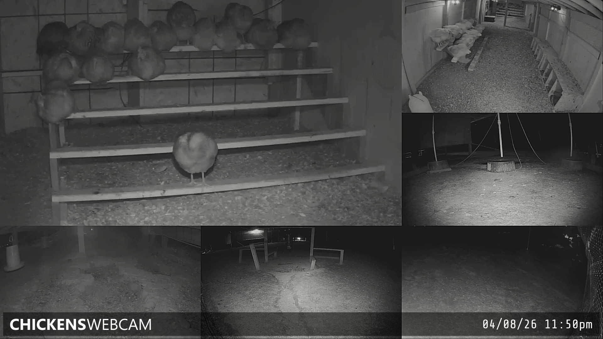 Twitch Stream Preview