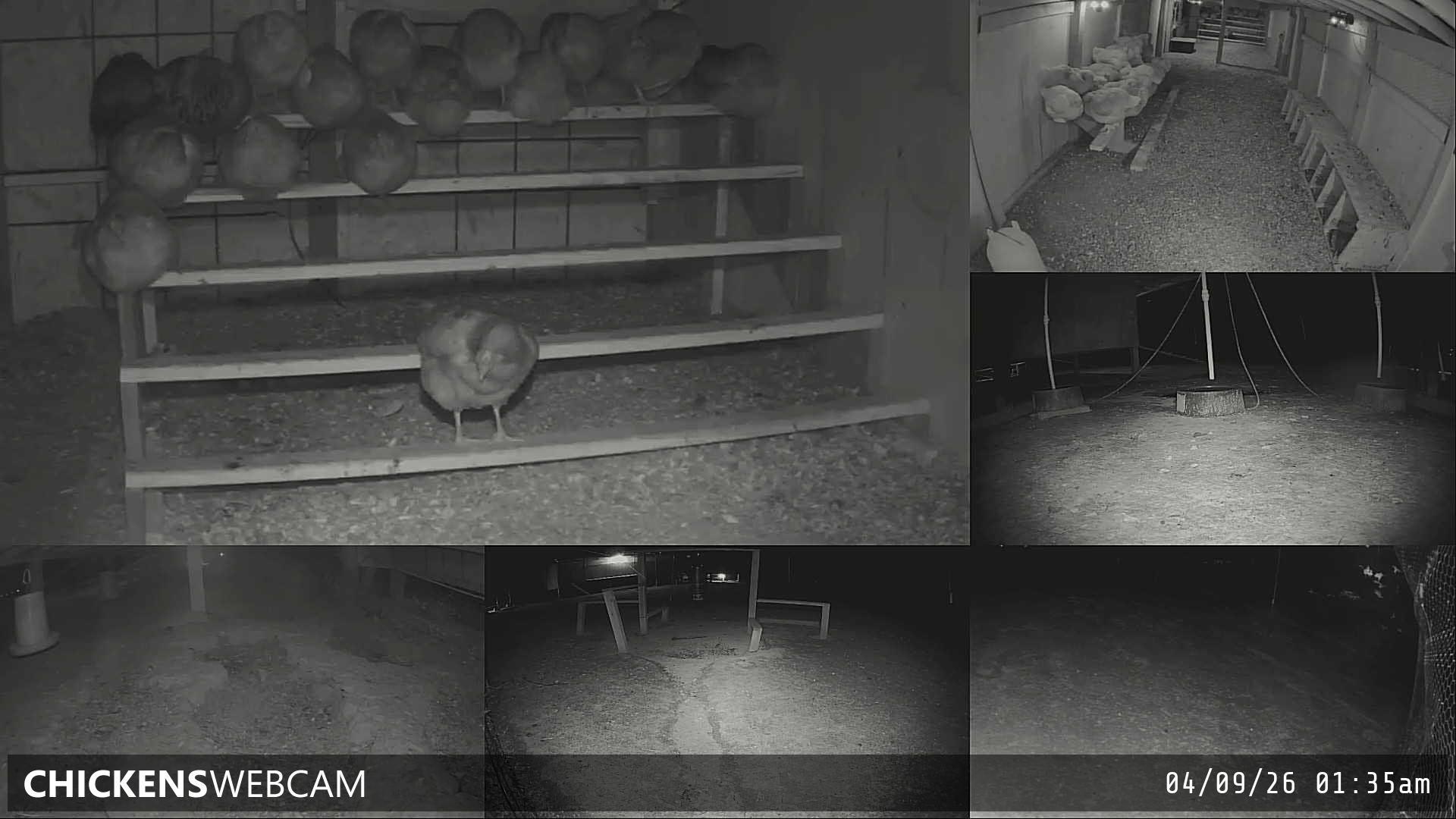 Twitch Stream Preview