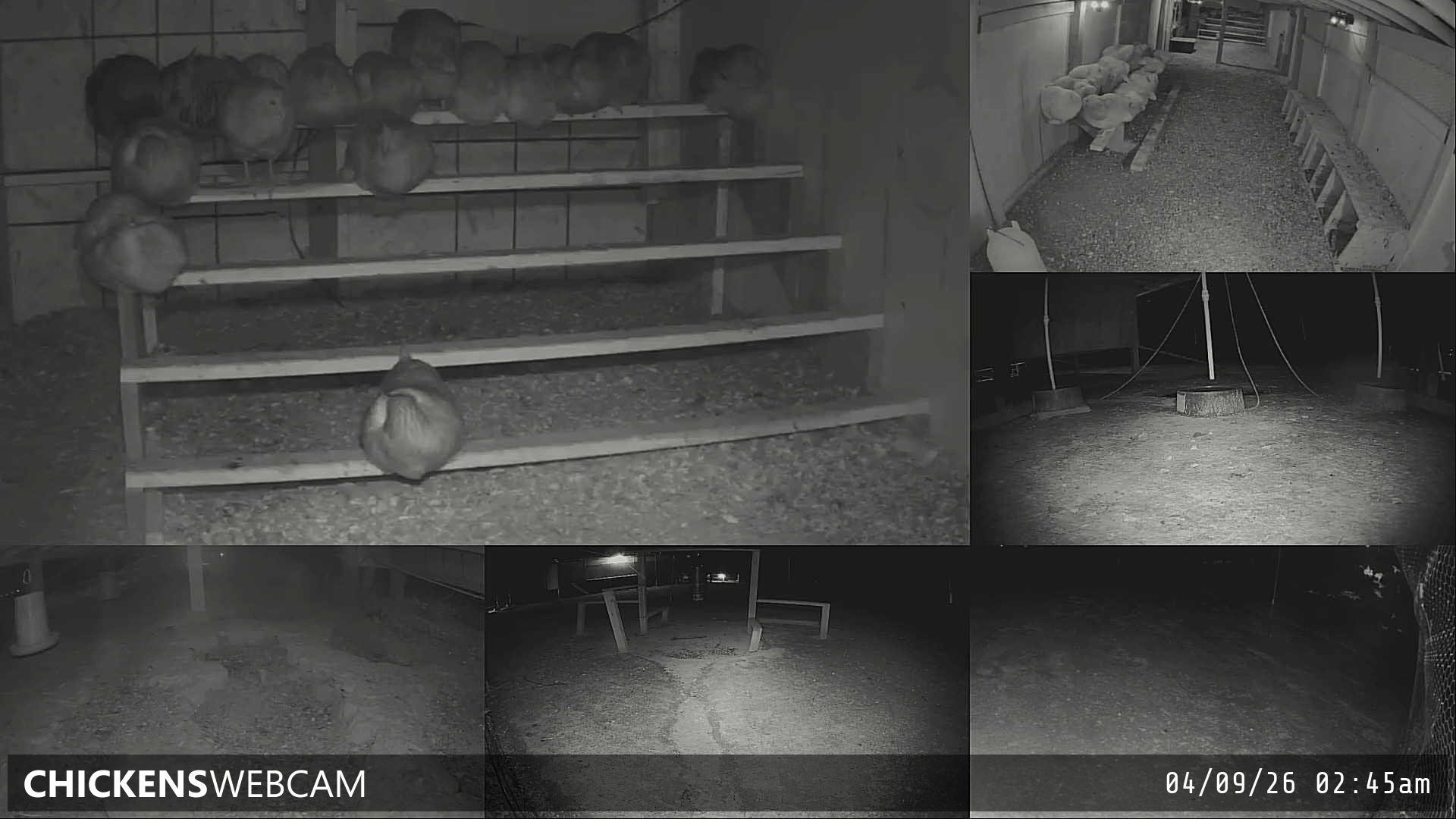 Twitch Stream Preview