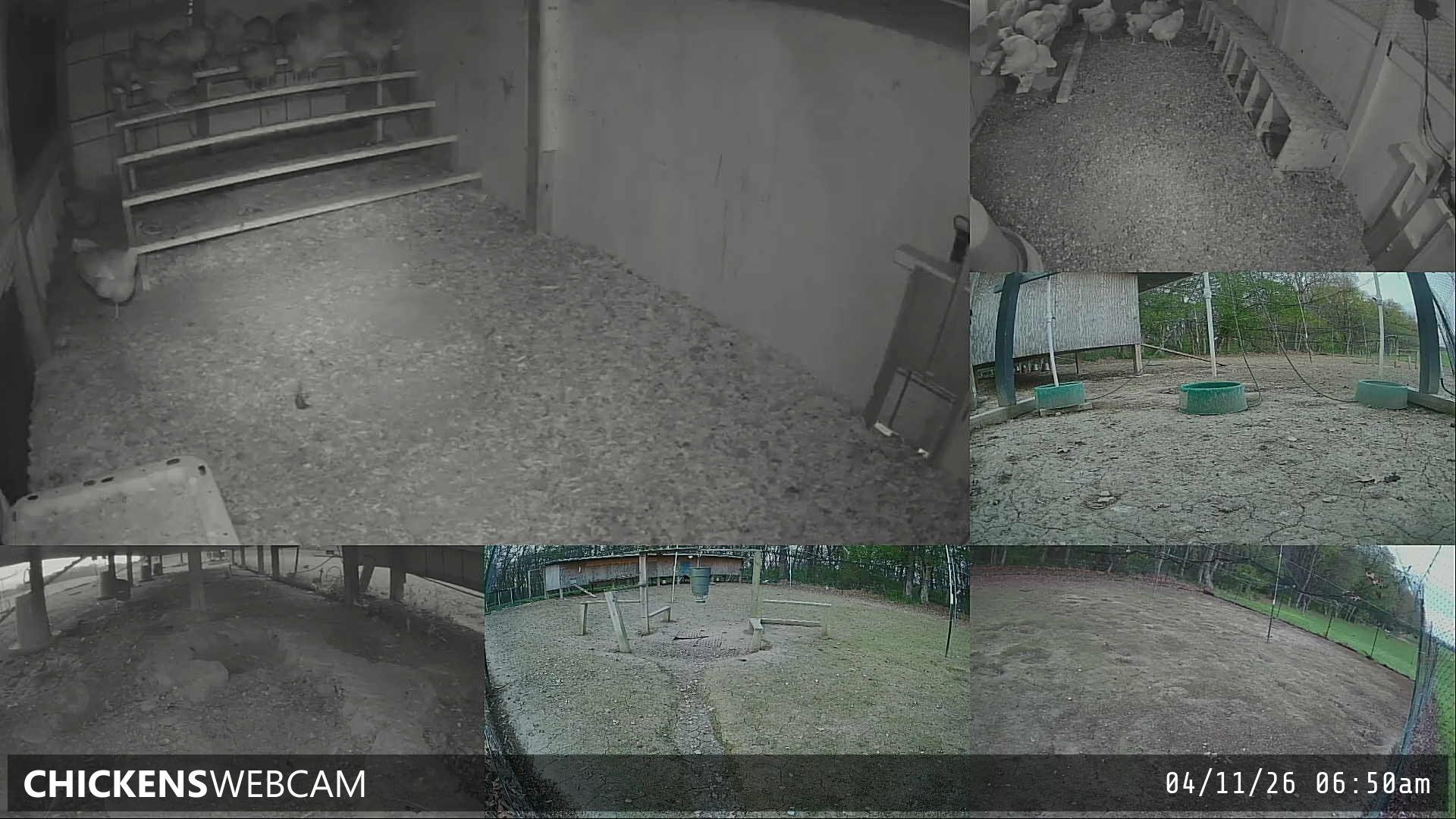 Twitch Stream Preview