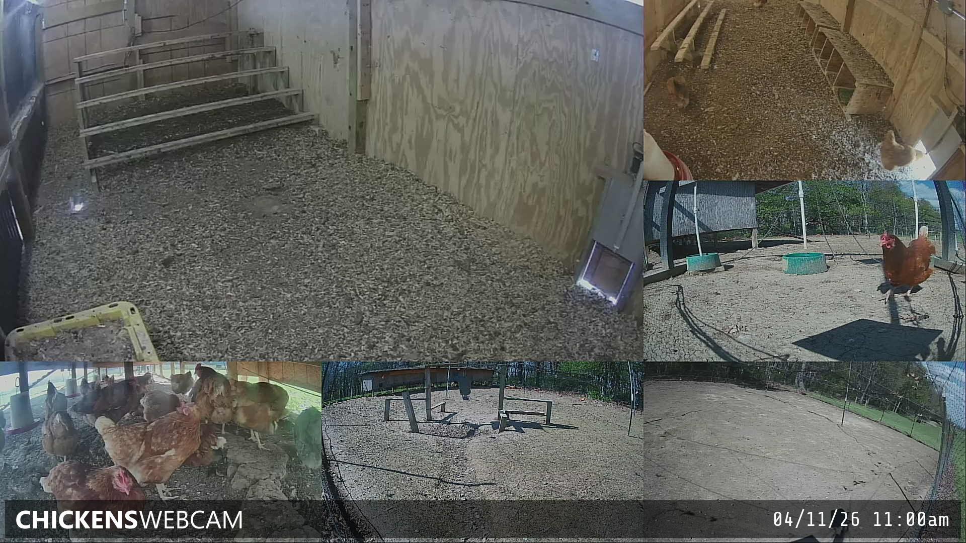 Twitch Stream Preview