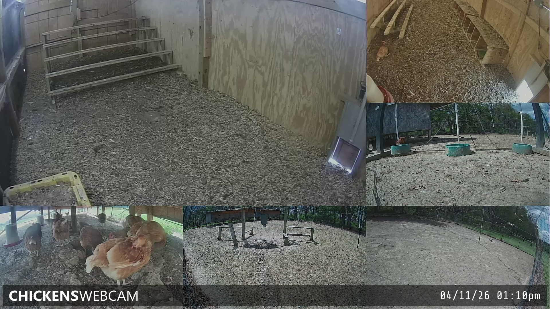 Twitch Stream Preview