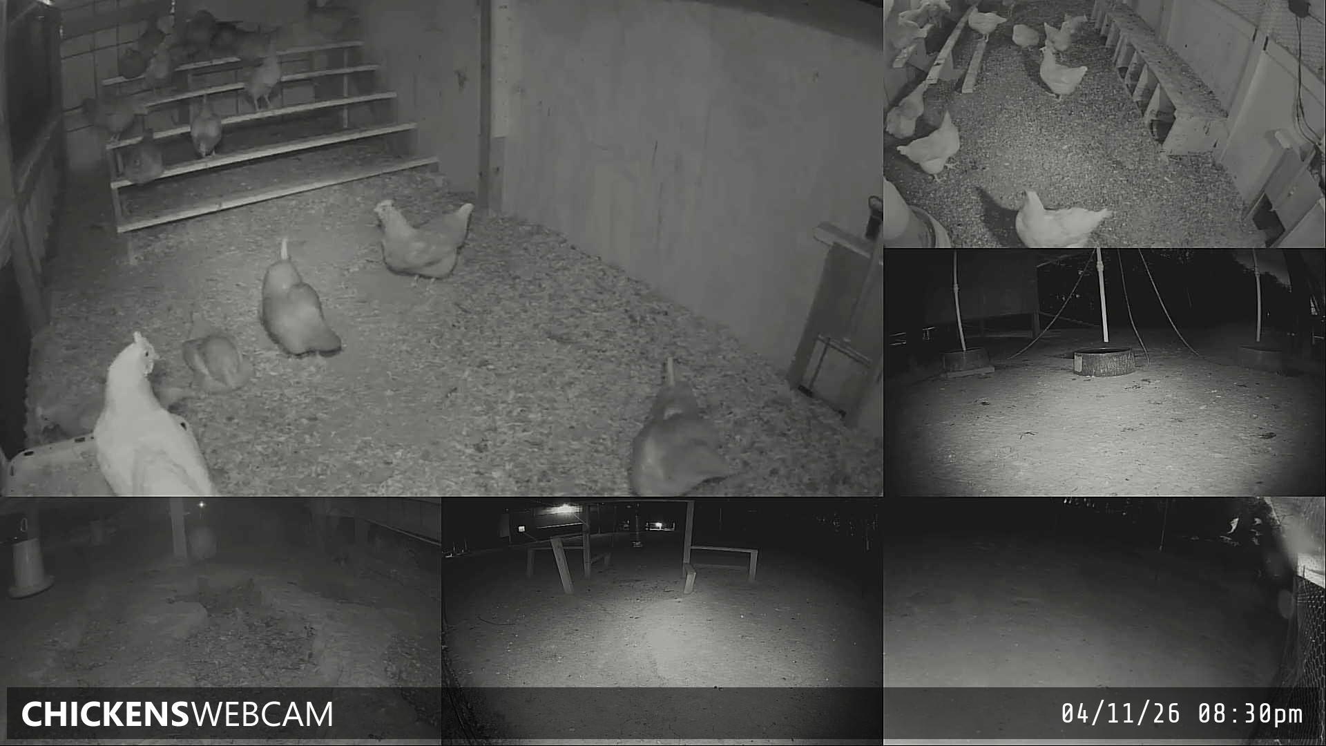 Twitch Stream Preview