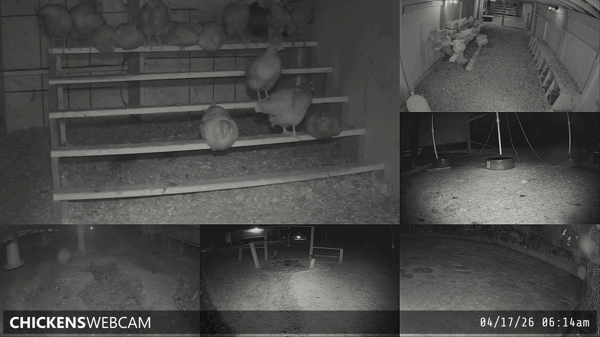 Twitch Stream Preview