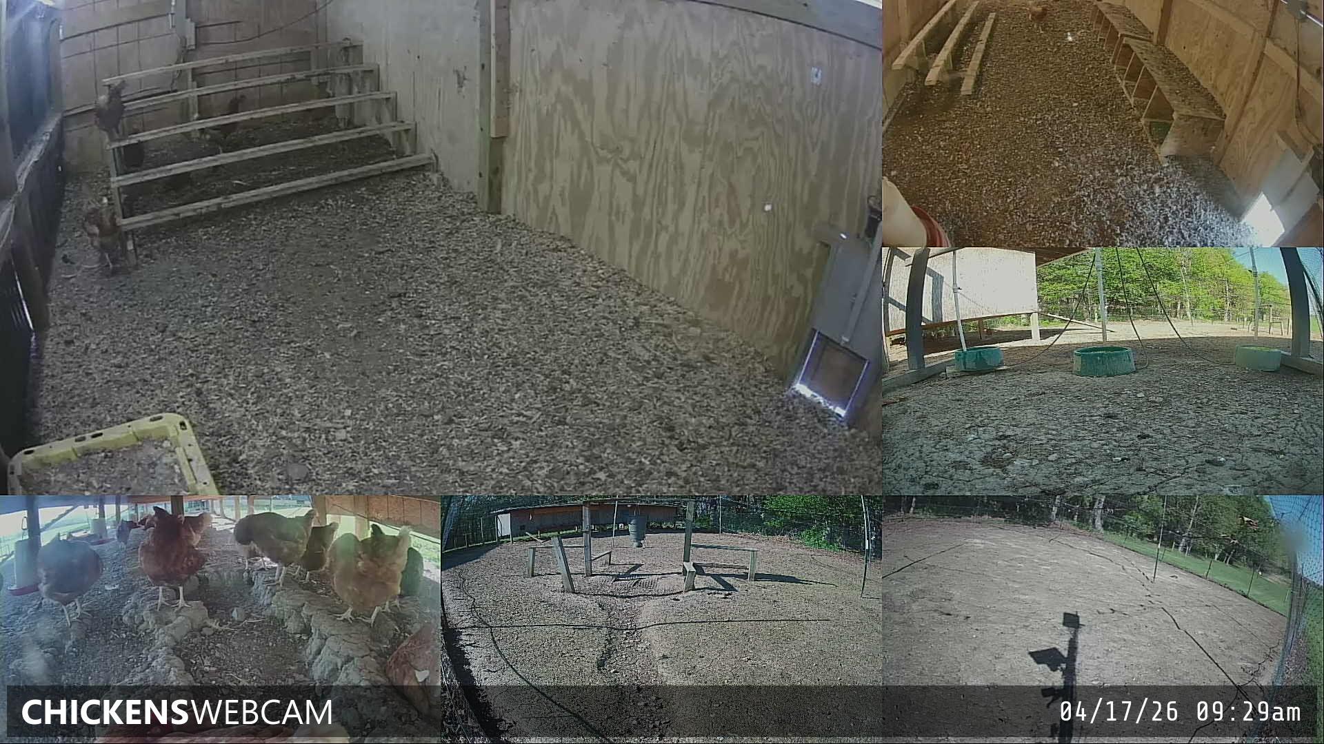 Twitch Stream Preview