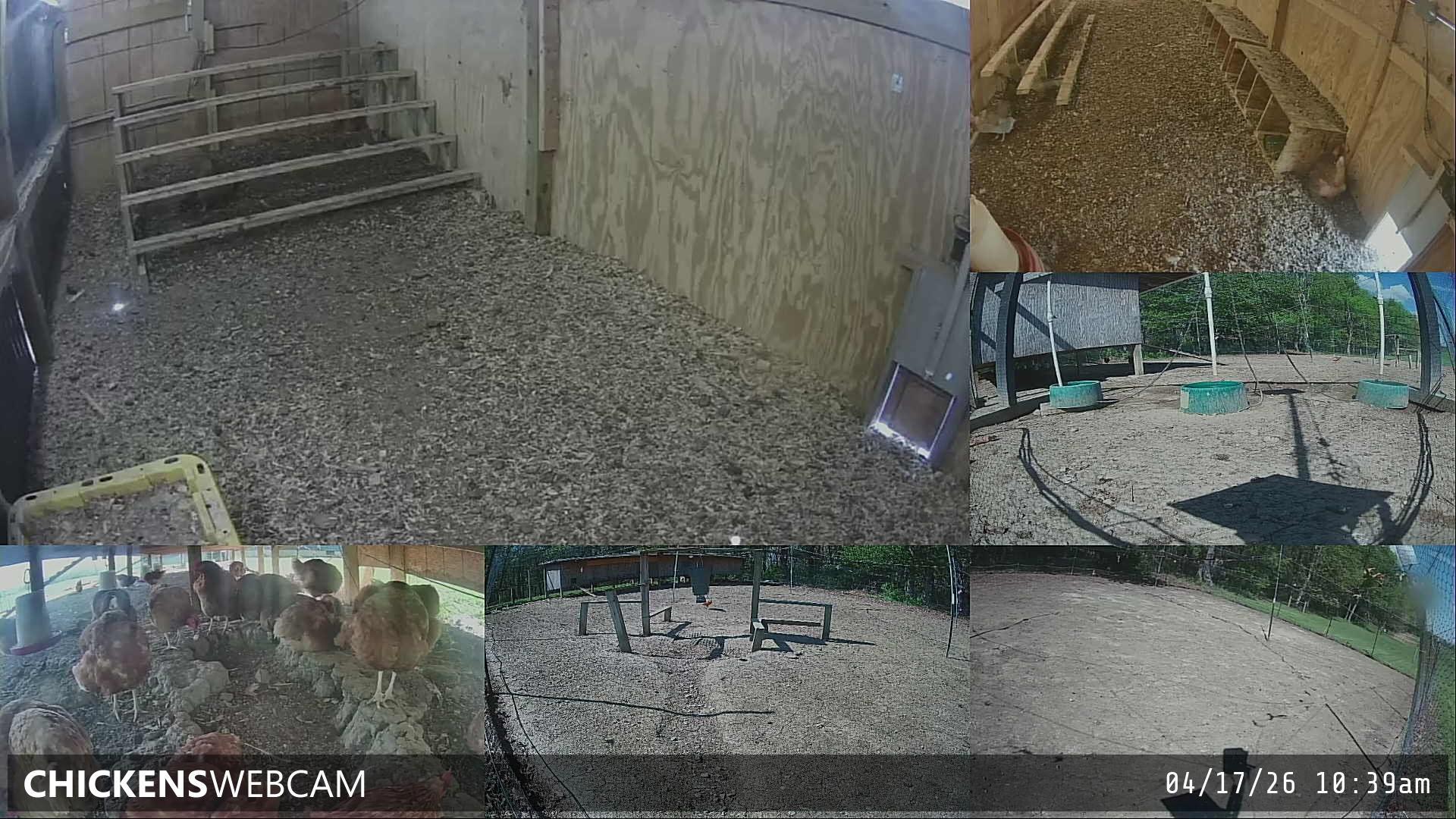 Twitch Stream Preview