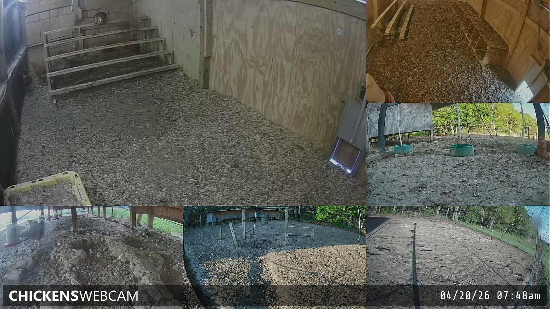 Twitch Stream Preview