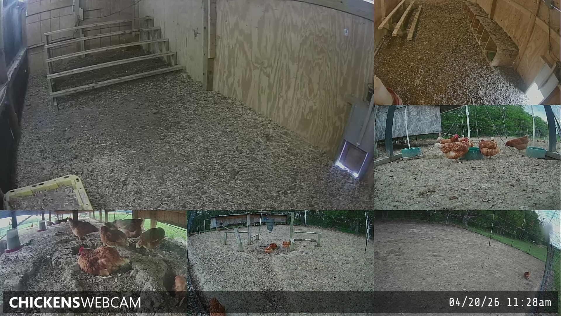 Twitch Stream Preview