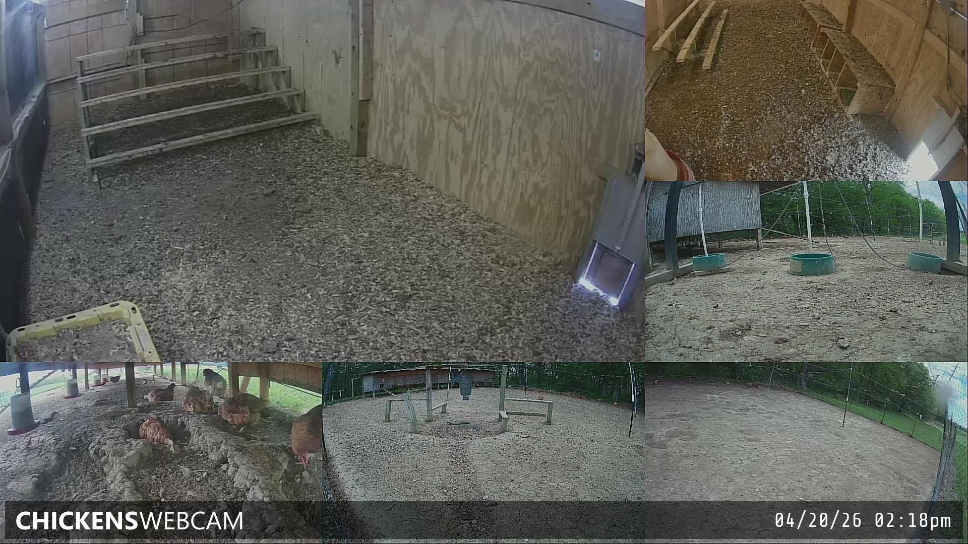 Twitch Stream Preview