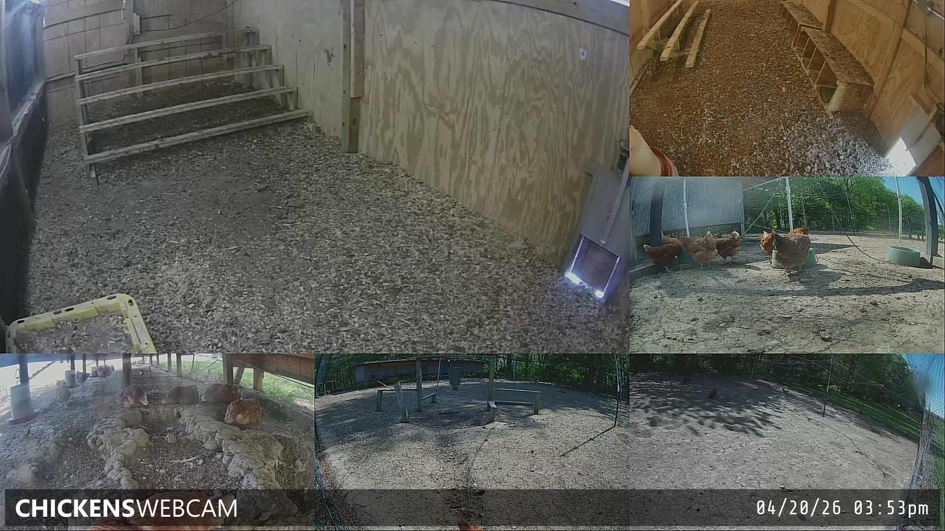 Twitch Stream Preview