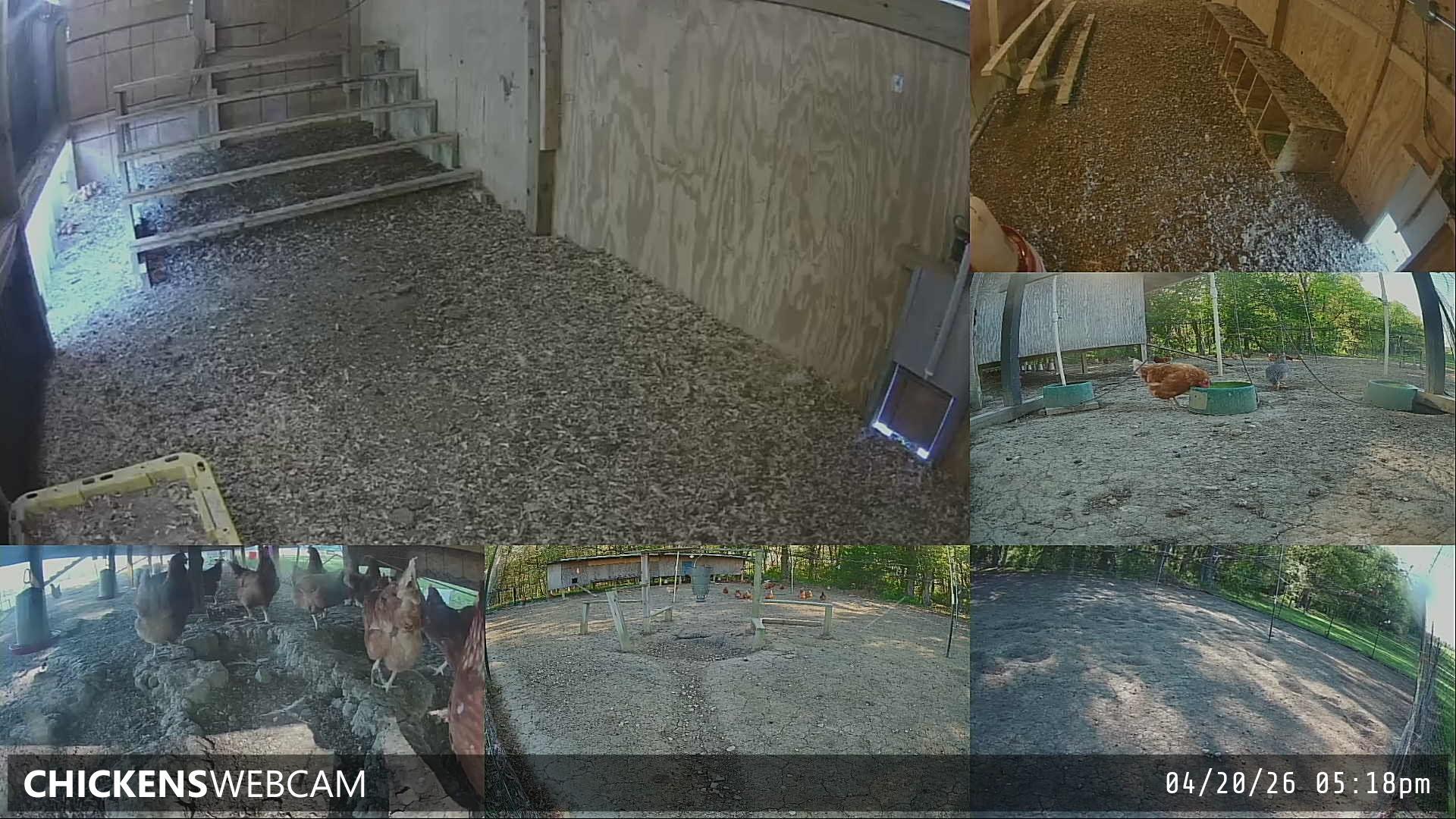 Twitch Stream Preview